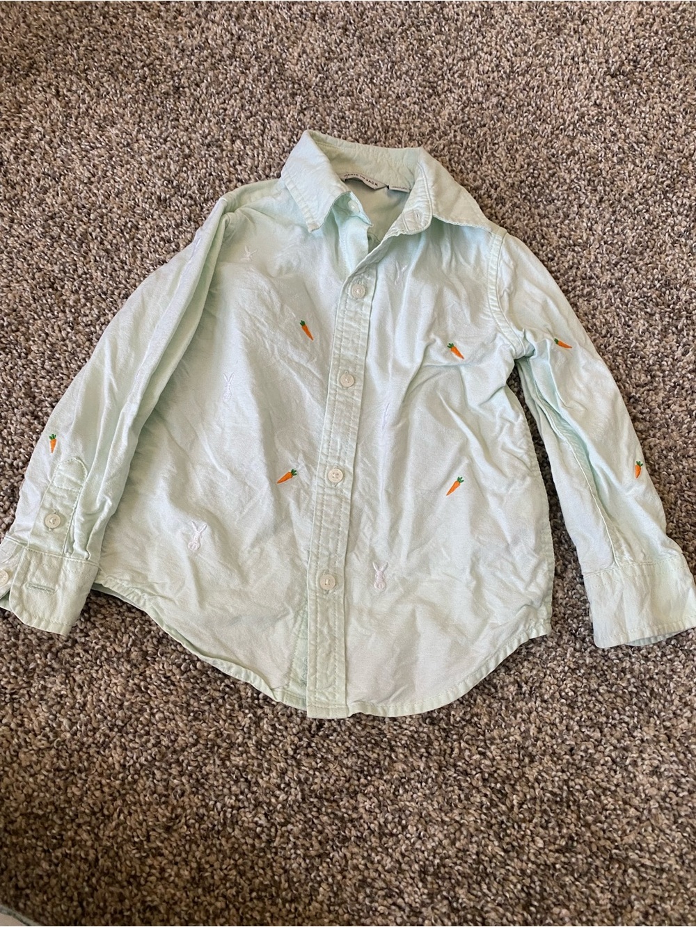Janie and Jack Mint Green Button-Down with Carrot and Rabbit Embroidery - 2T